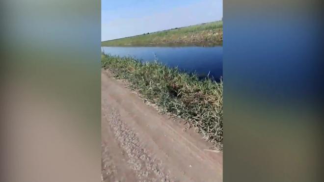 Новые подробности: В затонувшем в канале автомобиле в Волгоградской области оказалось 8 погибших 