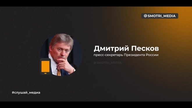 Песков: принуждение стран к использованию доллара усилит переход на нацвалюты