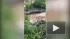 В Новгородской области выявлена утечка мазута в реку