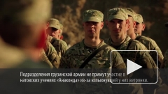 Грузинские военные не приехали на учения НАТО из-за ветрянки