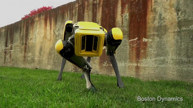 Видео: Boston Dynamics показали своего самого милого робота