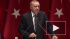 Эрдоган предложил проверить мозг Макрону на наличие рака мозга