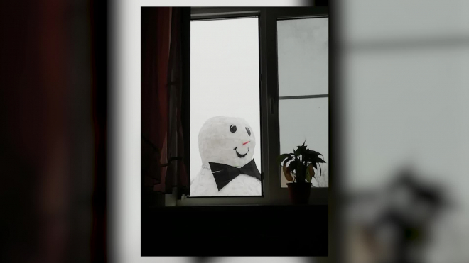 В подмосковном Воскресенске местный житель слепил гигантского снеговика 