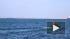 Опубликовано видео спасения затонувшего в Керченском проливе БТР 