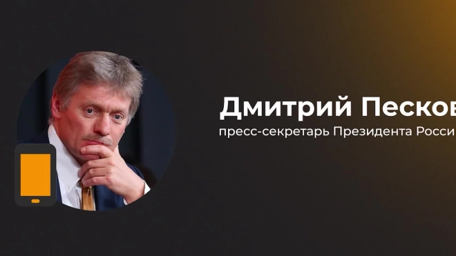 Песков: поставки французских колесных танков Украине не помешают достичь целей СВО