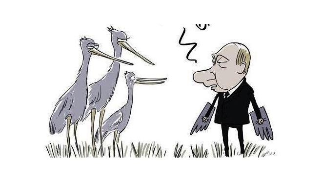 Путин полетит во главе журавлиной стаи, вооружившись клювом