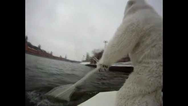 Белый арктический медведь проплыл на льдине по Москве-реке