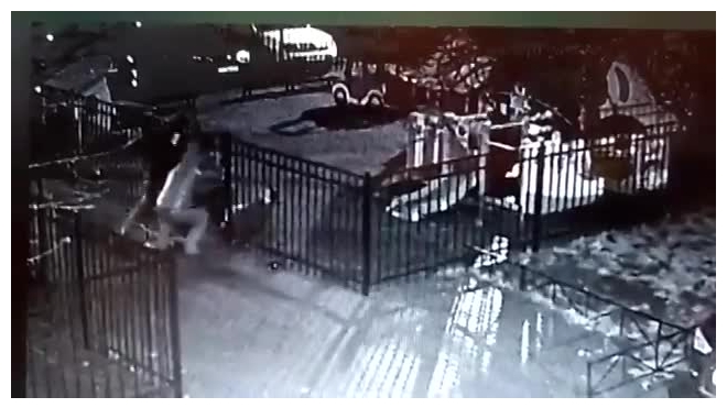 Ужасающее избиение молотками бизнесмена на Большой Пушкарской зафиксировали на видео камеры наблюдения
