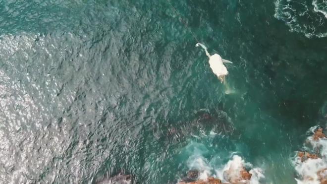 Мертвый кит привлек стаю огромных акул-людоедов
