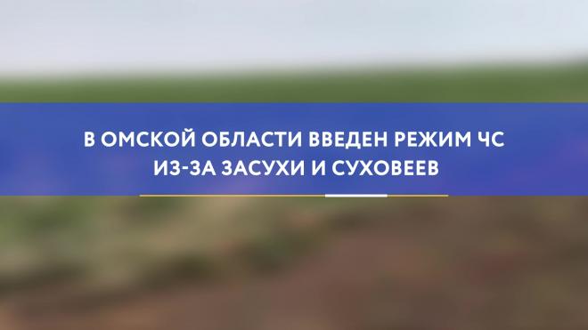 В Омской области введен режим ЧС из-за засухи и суховеев