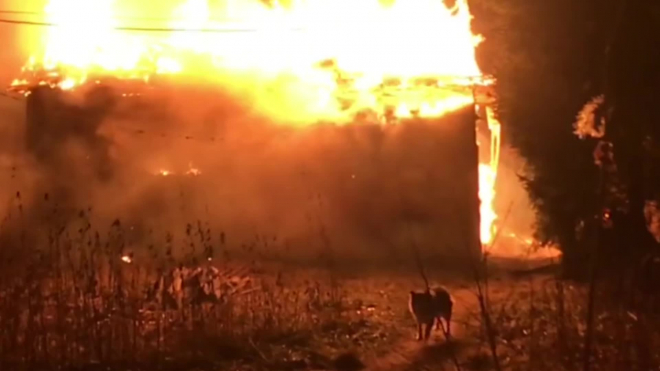 В Ленобласти загорелся дом: пожарные спасли дедушку и собаку