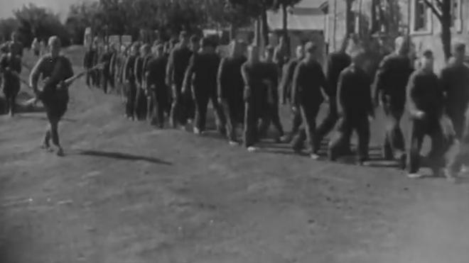 Минобороны опубликовало архивные документы об обороне Заполярья в 1941 году