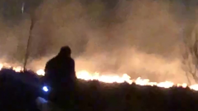 Видео: в Пушкине загорелось поле 