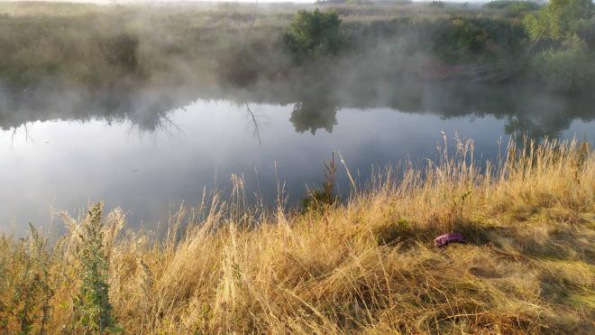 В Саратовской области водолазы нашли тело утонувшего в машине ребенка 