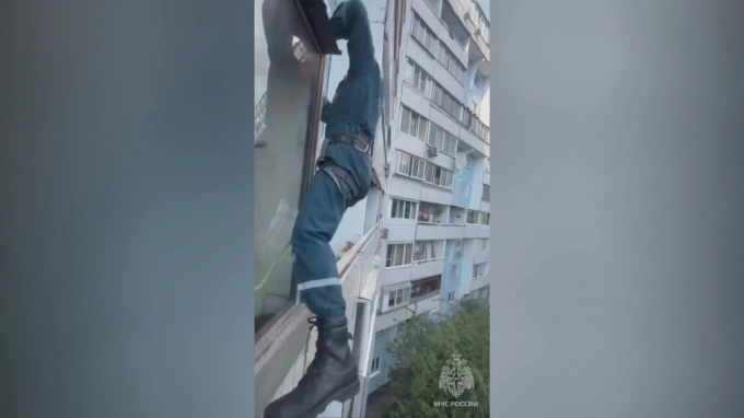 В Москве спасли собаку, оставленную на балконе более чем на два дня