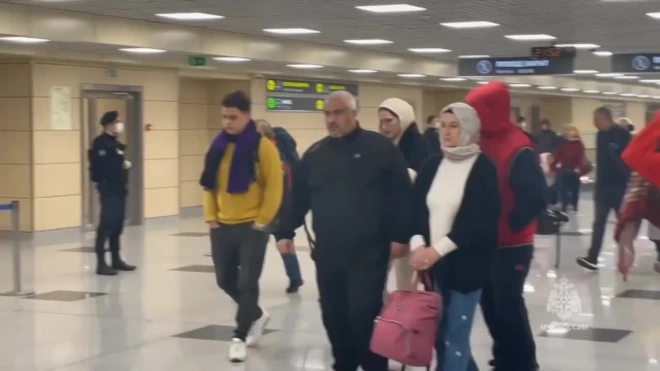 МЧС: первые пассажиры рейса МЧС из Газы прибыли в "Домодедово"