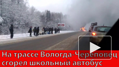 На трассе Вологда-Череповец сгорел школьный автобус