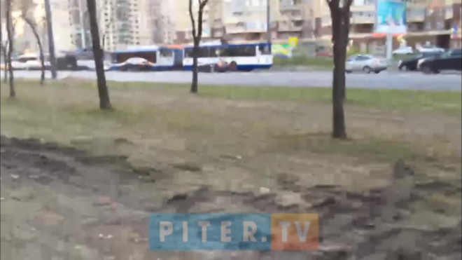 Видео: на Ленинском проспекте вышла из строя линия электропередачи