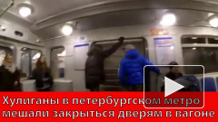 Хулиганы в петербургском метро мешали закрыться дверям в вагоне