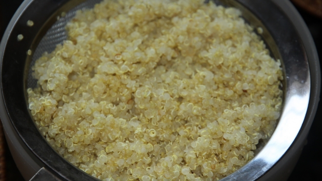 Любимая еда инков, "золотое зерно" киноа из Титикака — в России не прошло фитосанитарный контроль