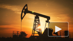 Bloomberg: в ОПЕК считают, что "золотой век" добычи сланцевой нефти для США завершен 