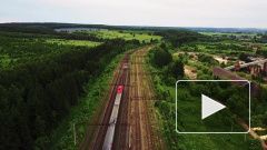 На фоне коронавируса РЖД отменяют ряд поездов, в том числе некоторые между Петербургом и Москвой