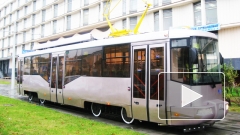 Поставка трамваев Петербургу стала поводом для войны ФАС с Комитетом по транспорту