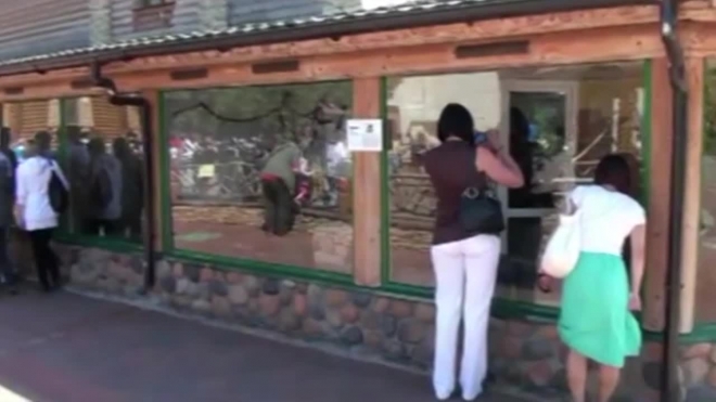 В Ленинградском зоопарке в семействе анаконд и птиц эму произошло прибавление