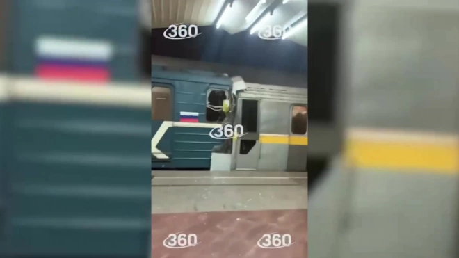 Очевидица прокомментировала столкновение поездов в московском метро 