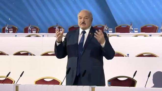 Лукашенко: не следует ждать от съезда ВНС решения глобальных проблем