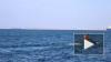 Опубликовано видео спасения затонувшего в Керченском ...