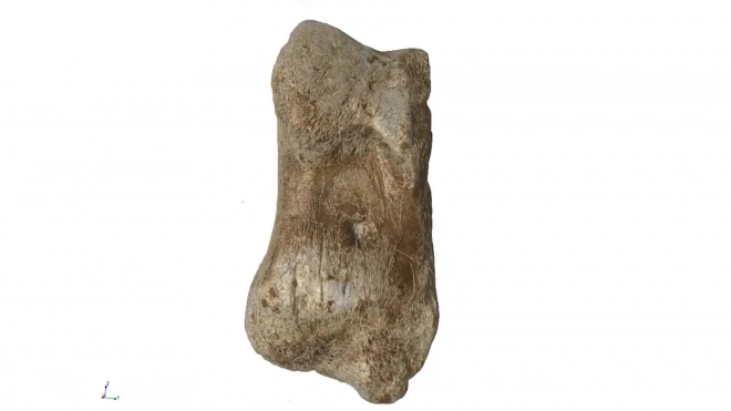 В Германии нашли самую древнюю неандертальскую статуэтку 