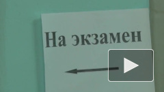 Названы возможные сроки переноса ЕГЭ из-за коронавируса