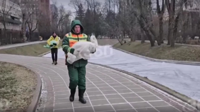 Двух лебедей спасли из полыньи в Хамовниках