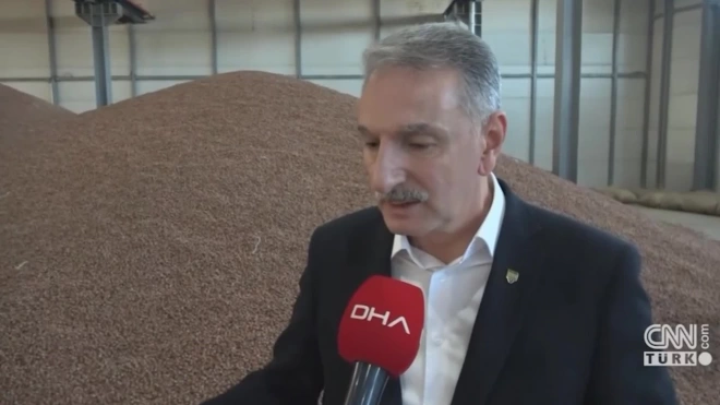 Глава Турецкого зернового совета назвал слабой версию диверсии в порту Дериндже