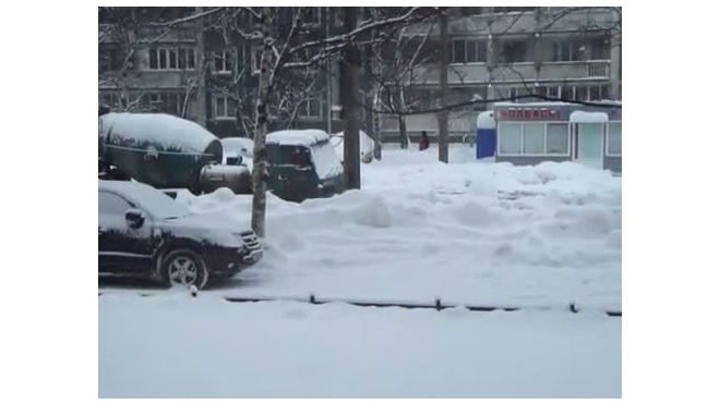 Вице-губернатор Петербурга уволил Кадырова за снегопад