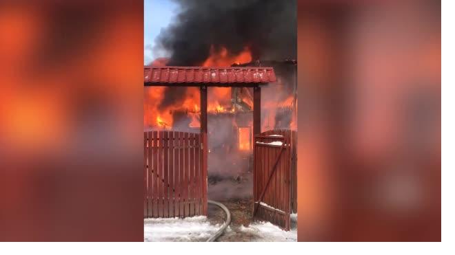 При пожаре в частном доме под Петербургом погибла собака, кошке удалось спастись