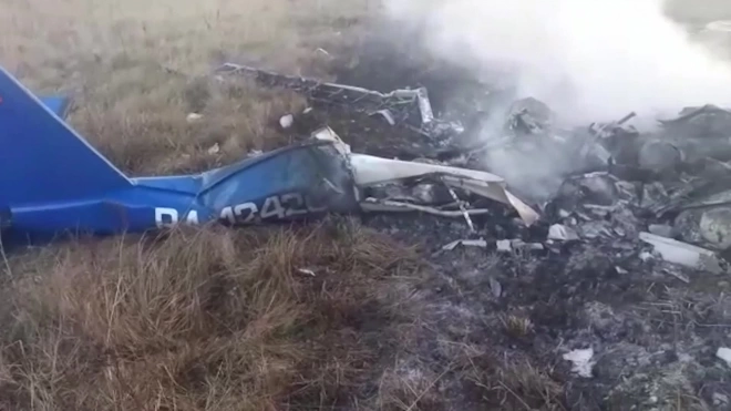МЧС опубликовало видео с места крушения самолета в Подмосковье