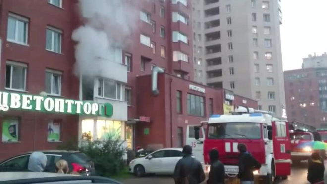 Видео: на Ленинском проспекте горела квартира