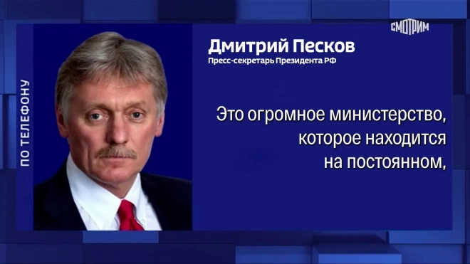 В Кремле назвали МЧС одной из лучших в мире служб спасения