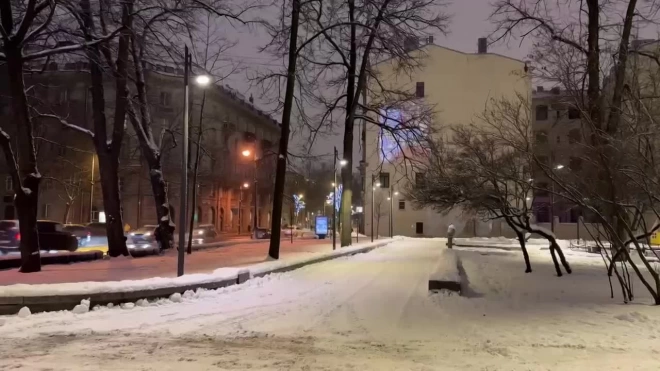 В саду Андрея Петрова на Петроградской стороне обновили освещение