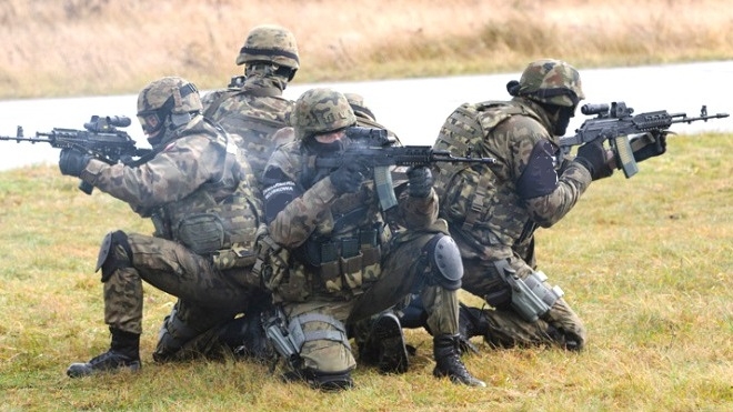 Эстония создает войска быстрого реагирования на границе с РФ