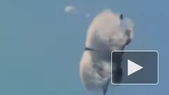 Истребители ВВС США сопроводили в нейтральных водах российские ракетоносцы
