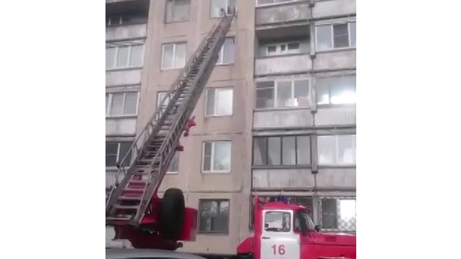 Пожарные с лестницей снимали кота с карниза пятого этажа на Сиреневом бульваре