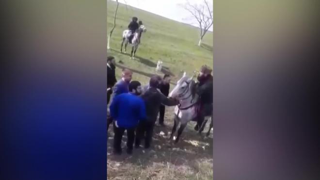 Полиция Дагестана остановила конный поход под чеченскими флагами