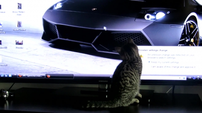 Cat Playing Katze spielt mit Maus - YouTube