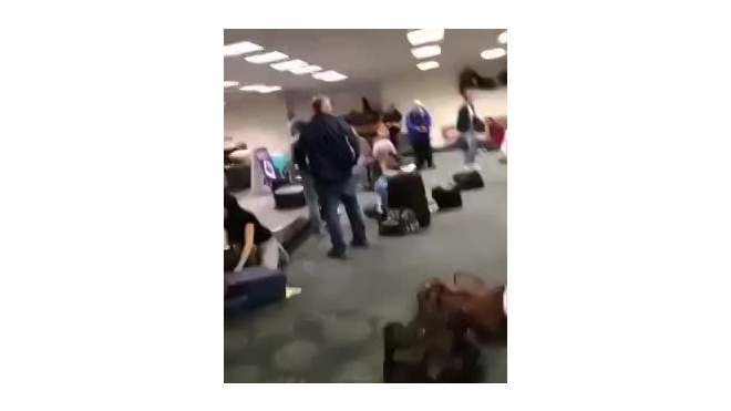 Появились первые кадры после стрельбы в аэропорту во Флориде