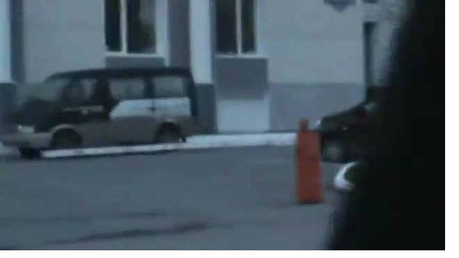 Медведь в Нижневартовске