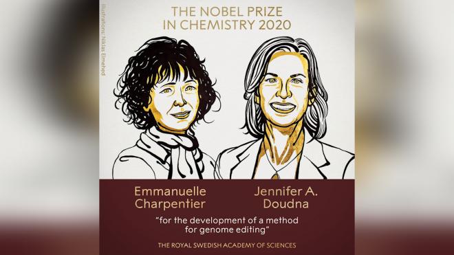 Нобелевскую премию по химии присудили за методы редактирования генома