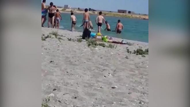 Видео: В Казахстане отдыхающие забили на пляже тюленя 